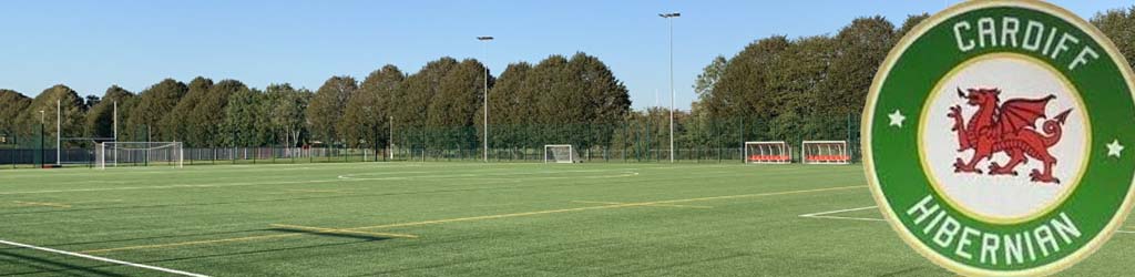 Cardiff West Community High School 3G